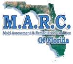 Mold Assessment & Remediation Coalition of Florida