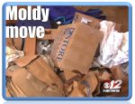 Microshield Moldy Move 12 News