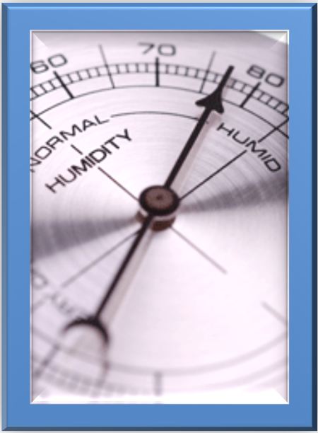 Florida Indoor Air Quality Humidity & IAQ