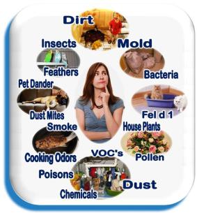 Florida Indoor Air Quality Solutions, IAQS