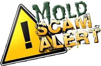 Mold Scam Alert! Homeowner Beware!